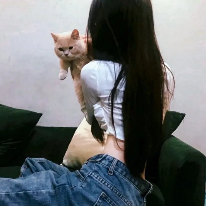 顽猫斗俏鼠